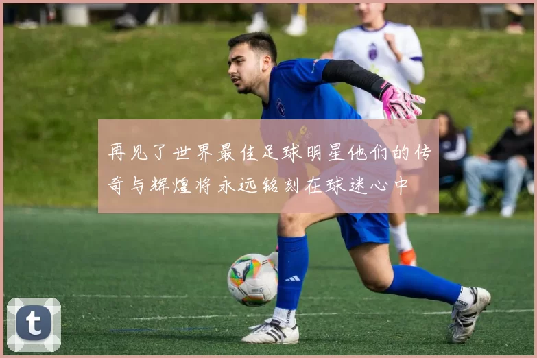 再见了世界最佳足球明星他们的传奇与辉煌将永远铭刻在球迷心中