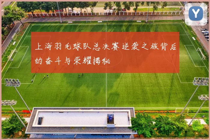 上海羽毛球队总决赛逆袭之旅背后的奋斗与荣耀揭秘