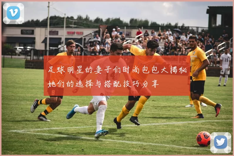 足球明星的妻子们时尚包包大揭秘她们的选择与搭配技巧分享