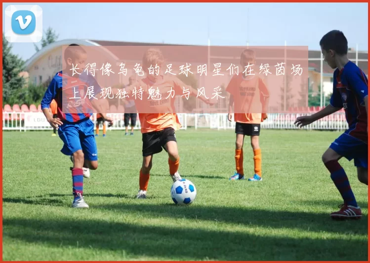 长得像乌龟的足球明星们在绿茵场上展现独特魅力与风采