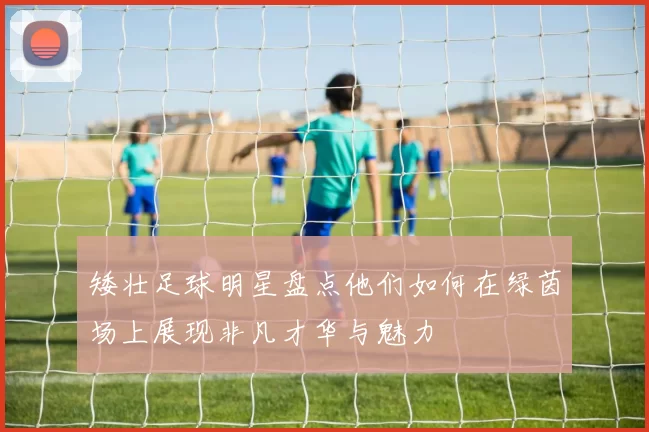 矮壮足球明星盘点他们如何在绿茵场上展现非凡才华与魅力