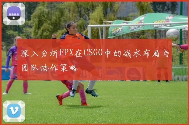 深入分析FPX在CSGO中的战术布局与团队协作策略