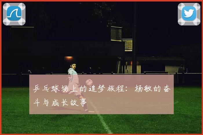 乒乓球场上的追梦旅程：杨敏的奋斗与成长故事