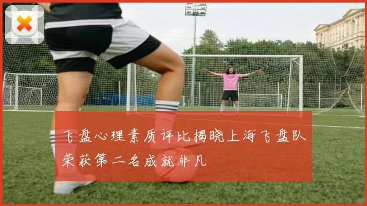 飞盘心理素质评比揭晓上海飞盘队荣获第二名成就非凡