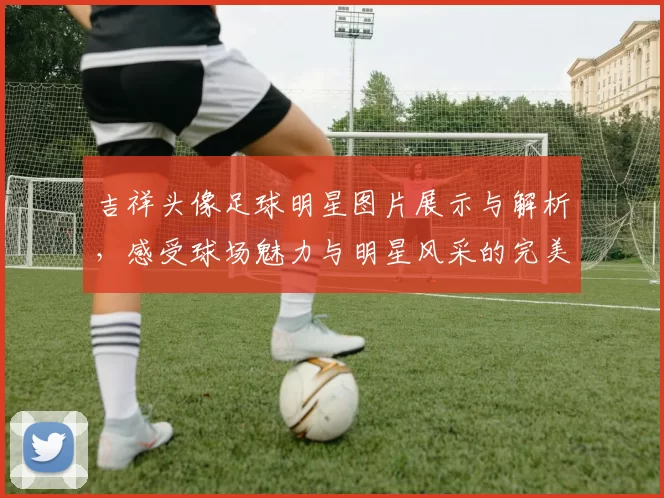 吉祥头像足球明星图片展示与解析，感受球场魅力与明星风采的完美结合
