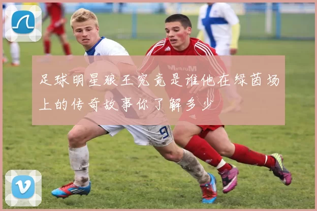足球明星狼王究竟是谁他在绿茵场上的传奇故事你了解多少