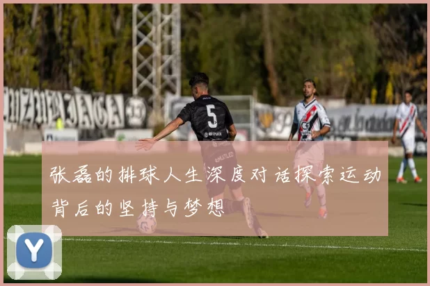 张磊的排球人生深度对话探索运动背后的坚持与梦想