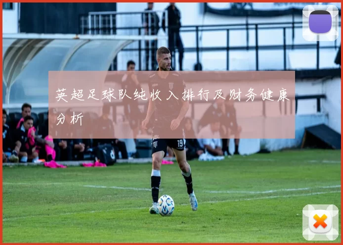 英超足球队纯收入排行及财务健康分析