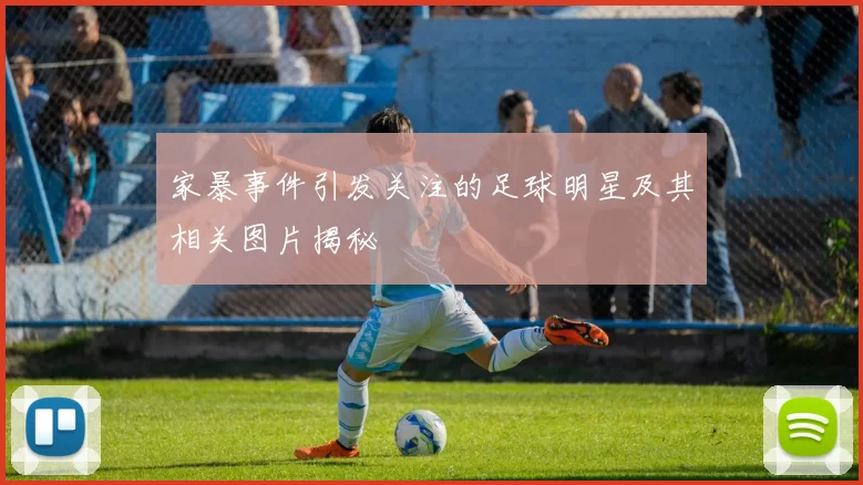 家暴事件引发关注的足球明星及其相关图片揭秘