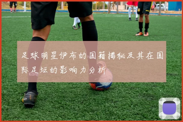 足球明星伊布的国籍揭秘及其在国际足坛的影响力分析