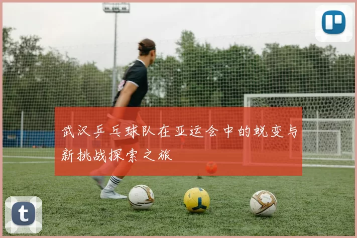 武汉乒乓球队在亚运会中的蜕变与新挑战探索之旅