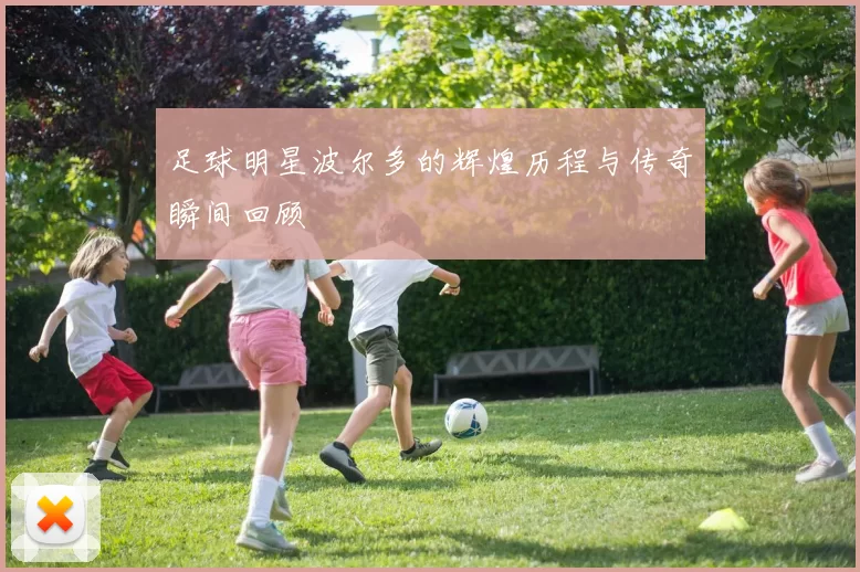 足球明星波尔多的辉煌历程与传奇瞬间回顾