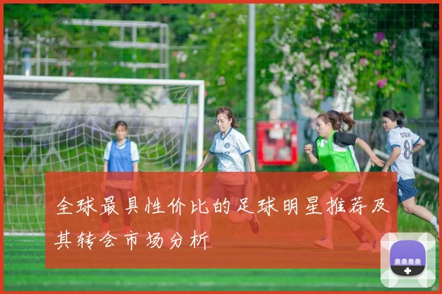全球最具性价比的足球明星推荐及其转会市场分析