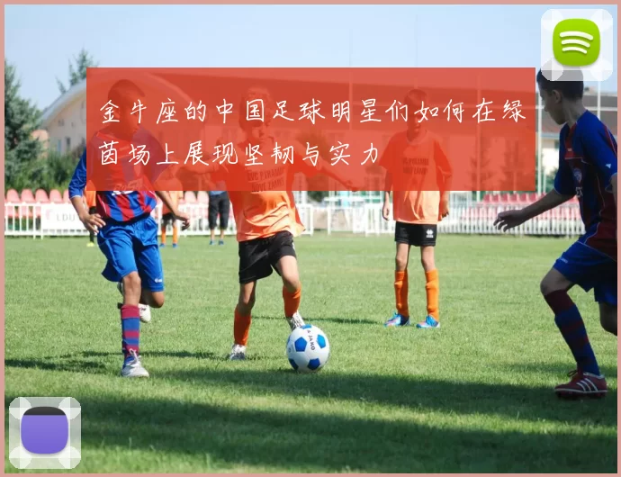 金牛座的中国足球明星们如何在绿茵场上展现坚韧与实力