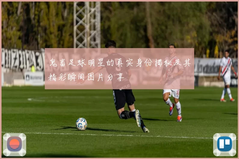 鬼畜足球明星的真实身份揭秘及其精彩瞬间图片分享