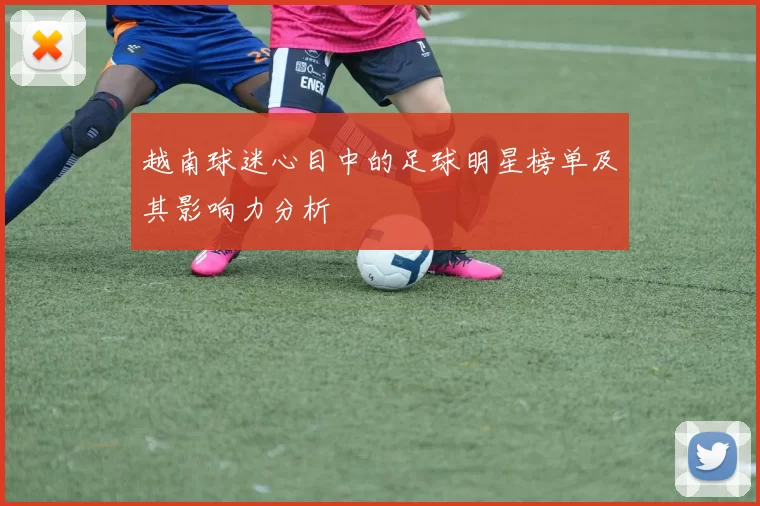 越南球迷心目中的足球明星榜单及其影响力分析