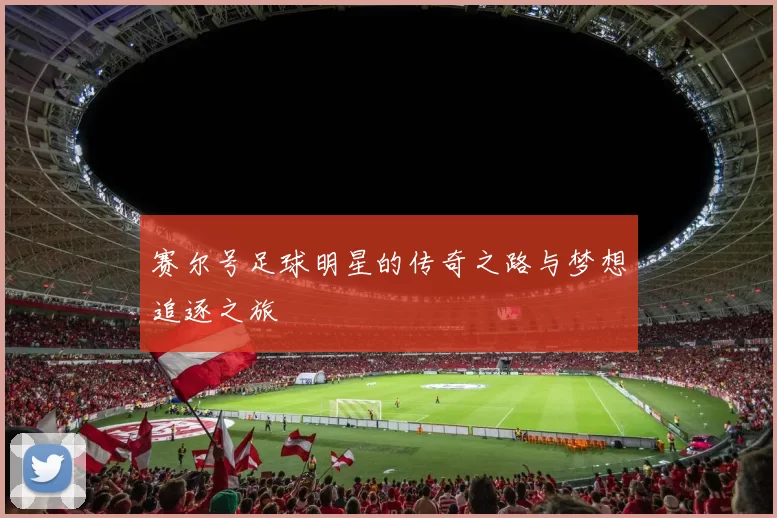 赛尔号足球明星的传奇之路与梦想追逐之旅