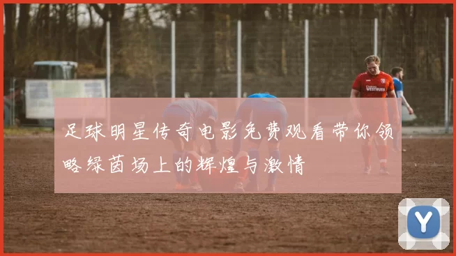 足球明星传奇电影免费观看带你领略绿茵场上的辉煌与激情