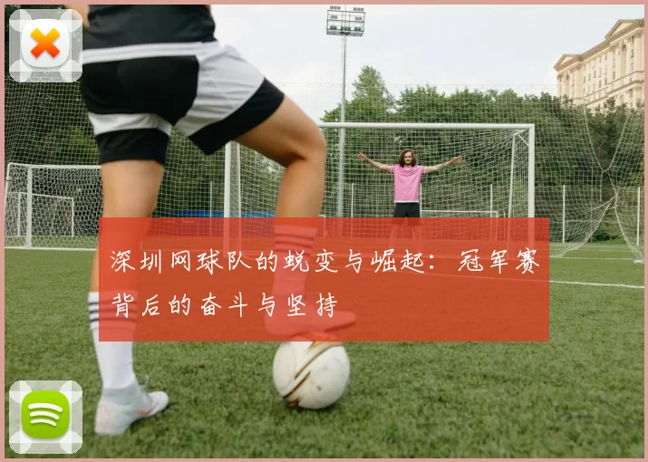 深圳网球队的蜕变与崛起：冠军赛背后的奋斗与坚持