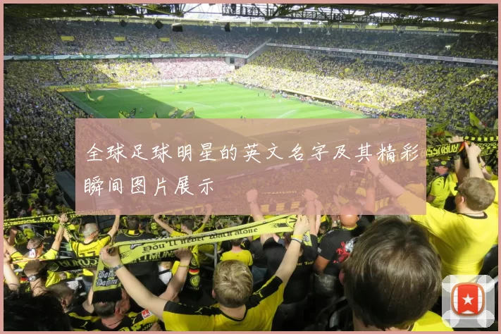 全球足球明星的英文名字及其精彩瞬间图片展示